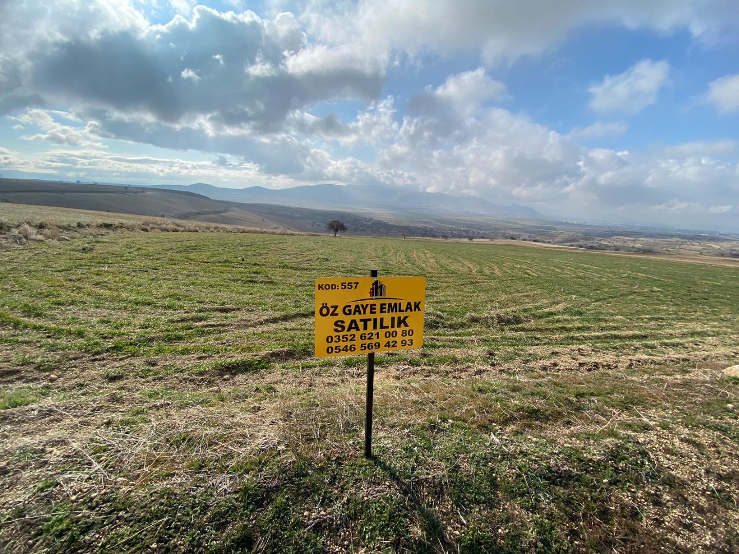KAYSERİ DEVELİ ÇOMAKLI MAHALLESİ EŞME MEVKİİNDE SATILIK TARLA